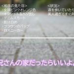 シロウト女子図鑑 真正中出しナンパ！凄腕ナンパ師のHOWtoトークを完全収録！ あみりさん みくるさん