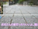 シロウト女子図鑑 真正中出しナンパ！凄腕ナンパ師のHOWtoトークを完全収録！ あみりさん みくるさん